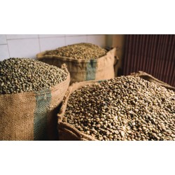 Abertura de mercado na Zâmbia para o café brasileiro